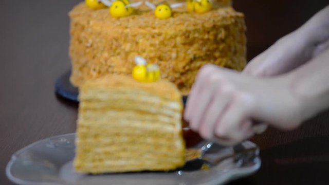 Sweet home layered honey cake. Put a piece of honey cake in a plate