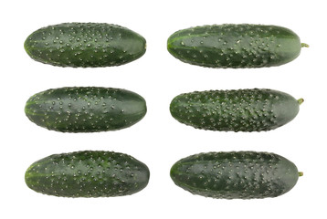 cucumber