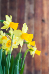 Naklejka premium Spring Easter's yellow daffodils on old rustic wooden background.