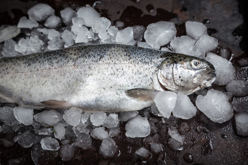 fresh fish. Trout with  lemon and spices on dark background. Cooking fish with herbs thyme.