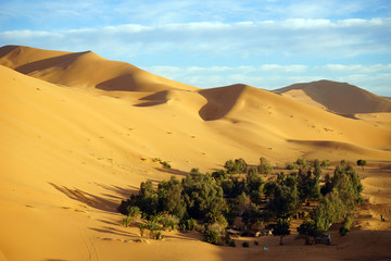 Fototapeta na wymiar Oasis and dune