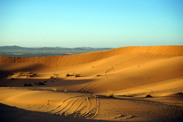Fototapeta na wymiar Track on the dune