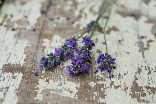 Close-up of bunch lavender on a white rustic table. Concept nostalgia and vintige style. Shallow depth of focus.