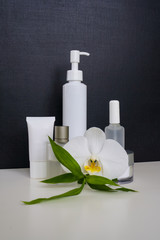 realistic blank tubes for cosmetics. Set with cosmetic vial, flask. Tube of cream.