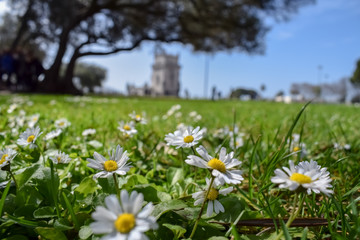 Tower of Belem in Lisbon, Portugal