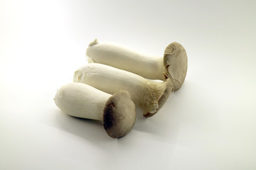 Variety of fresh vegetables