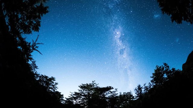 Starry sky timelapse with trees around