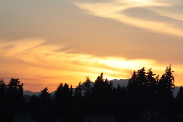Sunset over mountains and silhouette trees