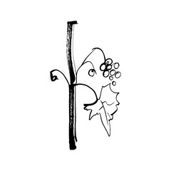 Hand drawn ink brush logo symbol of grapes anf wine. An idea for winery design.