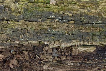 destrukt, fotografia drewna, foto, struktury drewnianej, vintage, stare drewno, grafika, designe drewno, stara chata, słoma, dom retro, strzecha, sielsko, skansen