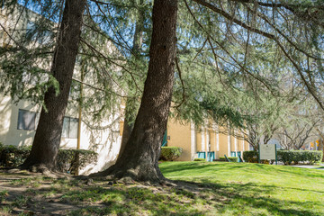 Beautiful apartment community