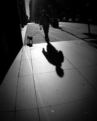 Shadows in NY