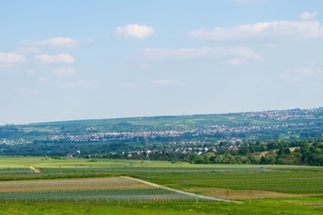 Fototapeta na wymiar Landschaftsfotografie Rheingau