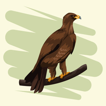 Eagle in branch drawing vector illustration graphic design