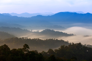 Obraz premium poranna mgła w gęstym tropikalnym lesie deszczowym, kaeng krachan, tajlandia