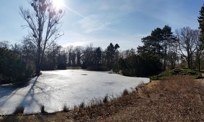 Park w zimie © michalsen