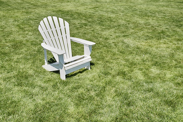 One Adirondack Chair