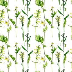 Fototapeta na wymiar seamless pattern with watercolor drawing flowers and plants