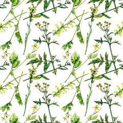 seamless pattern with watercolor drawing flowers and plants