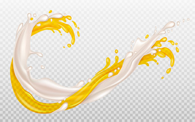 Orange juice and milk. Splashes of milk and juice are intertwined. Dairy and fruit mix. Transparent Yellow splash. Element for advertising or packaging dairy products. Vector illustration. 