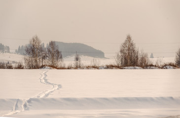 Path in the snow-covered field