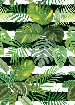 Tropical seamless pattern with palm leaves background. Vector set of exotic tropical garden for holiday invitations, greeting card and fashion design.