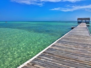 Obraz premium Blue sky over a beautiful tropical beach with green palm trees and pier. Cayo Guilermo , Cuba