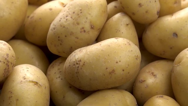 raw potato