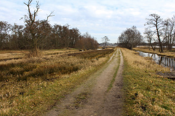 Swamp national park the biesbosch in the Netherlands in autumn