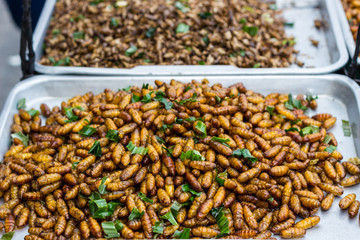 Fried insects worm Thai food at the street food market Available on the market