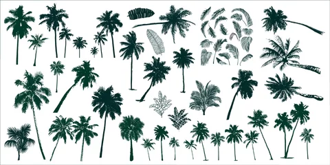 Poster tropical palm trees © yuliana_s