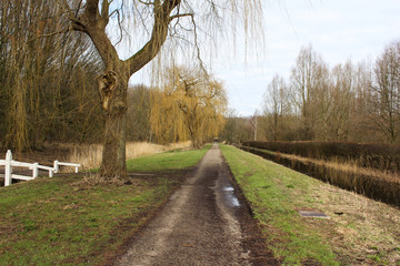 Swamp national park the biesbosch in the Netherlands in autumn