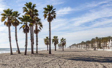 Mediterranean beach, palm tree and maritime promenade in El Vendrell, Costa Daurada, province Tarragona, Catalonia.Spain.