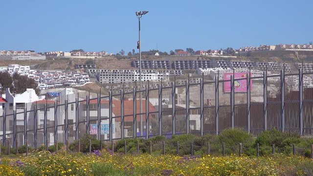 Establishing shot of the Tijuana border wall fence near San Diego with wildflowers.