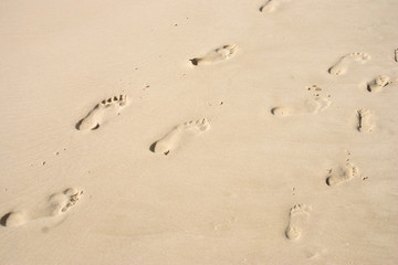 Fototapeta na wymiar Footprints in sand at the Beach