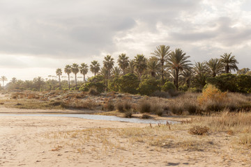 Landscape and beach in coast of Catalonia, Costa Daurada, Spain.