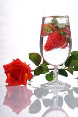 Red rose strawberry champagne