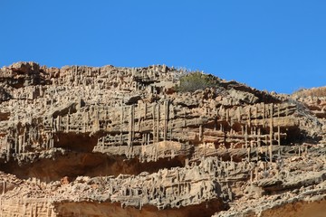 Fossil traces of Skolithos-worms in the Tumblagooda Sandstone in Kalbarri National Park, Western...