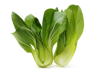 Pok Choi on white background
