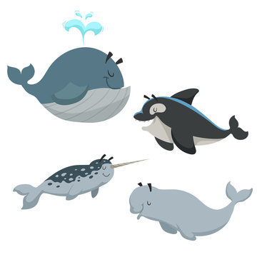 Cartoon sean animals set. Whale with fountain, killer whale orca, white beluga whale and narwhal. Sea and nord ocean animals. Kid education vector illustration collection.