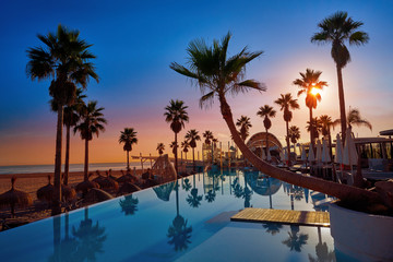 Resort pool in a beach with palm trees sunrise