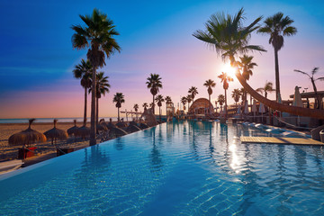 Resort pool in a beach with palm trees sunrise - obrazy, fototapety, plakaty