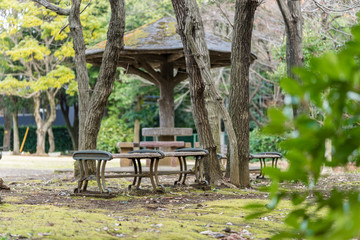 Fototapeta na wymiar 柿田川公園のベンチ