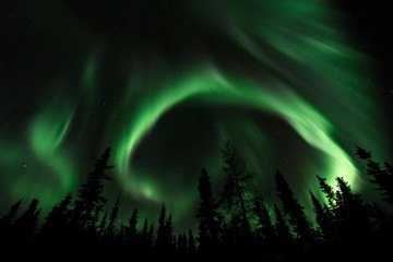 Fototapeta na wymiar Northern lights In Canada