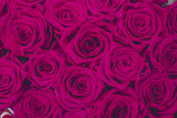 bouquet of pink roses background