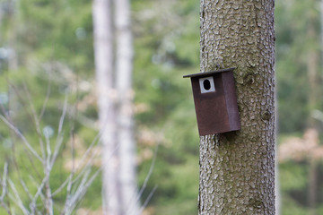 Bird booth hung on a tree. Spring home for birds