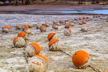 On the beach, Little Bow Provinvial Park, Alberta, Canada