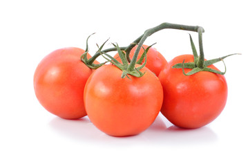 Closeup of tomatoes on the vine isolated on white