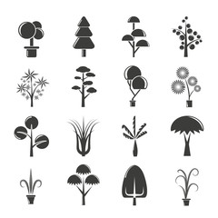 tree icons set