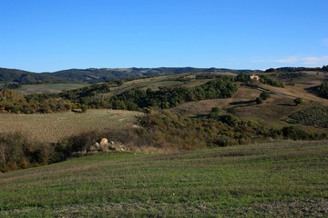 Cultivated fields in Tuscany, Italy